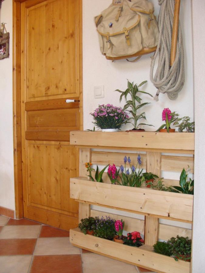 Stella Alpina Bed and Breakfast Rimplas Exteriör bild